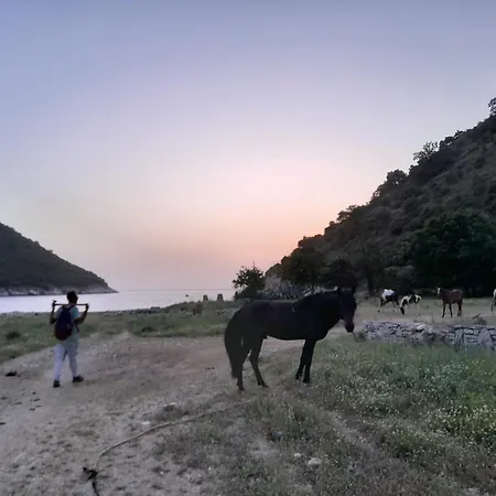 캠프장 Lost Paradise Eco *