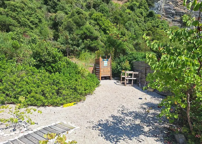 Lost Paradise Eco *